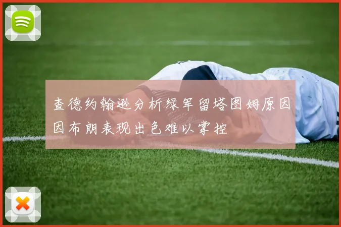 查德约翰逊分析绿军留塔图姆原因因布朗表现出色难以掌控