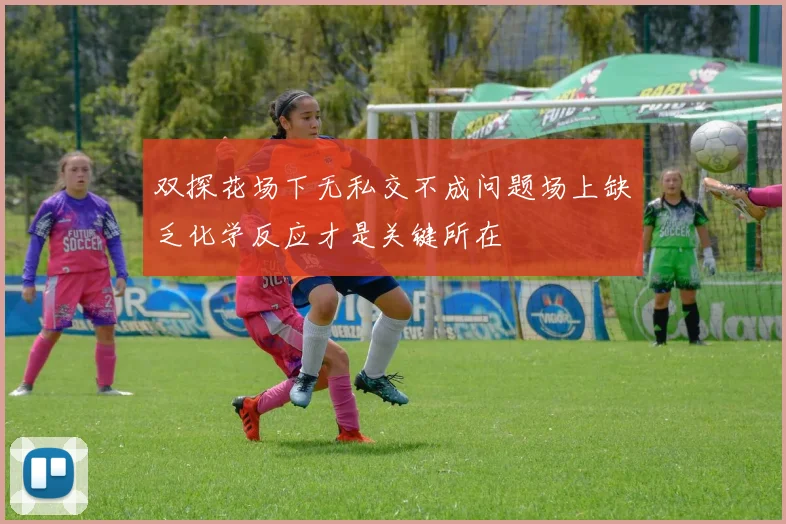 双探花场下无私交不成问题场上缺乏化学反应才是关键所在