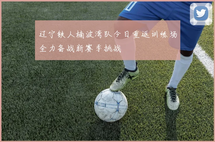 辽宁铁人楠波湾队今日重返训练场全力备战新赛季挑战